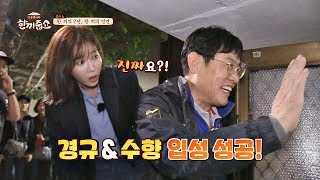 임수향(Lim Soo Hyang)의 쿨한 입성 성공! 몽골人 가족과 한 끼 속으로↗ 한끼줍쇼 102회