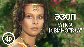 Эзоп (1981)