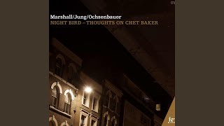 Night Bird