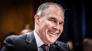 How The EPA Has Dissolved Into A Horrific Disappointment
