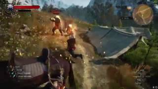 Witcher 3 on Zotac GTX 1070 AMP