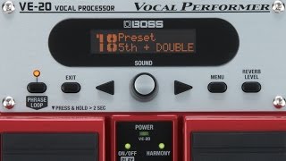 Boss VE-20 Vocal Performer