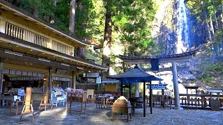 熊野飛瀧神社那智之瀧 Nachi Waterfall (Japan)