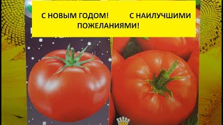 Поздравляю с Новым годом 2022!