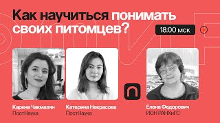 Человек собаке друг? Как научиться понимать своих питомцев / Елена Федорович на ПостНауке