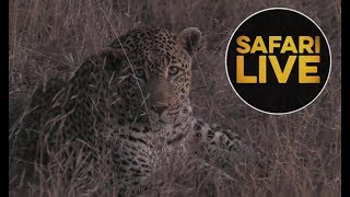safariLIVE - Sunset Safari - July 10, 2018
