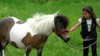 Sissi - Mein kleines Pony
