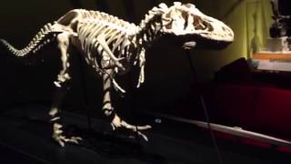 Walking T-Rex Skeleton