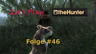 Let's Play The Hunter #46 - Turkey Hunt with Decoys and .22 Grasshopper gone wrong :D