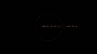 Methodic Doubt - Lonely Dusk