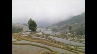 Chinese Song from Yuanyang, Yunnan Province1 雲南省元陽の歌謡1