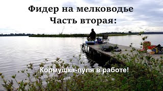 Фидер на мелководье! Часть вторая! Кормушка-окно в деле!
