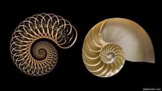 Fractals in Nature