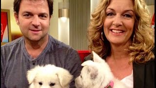 Martin Rütter bei DAS! 16.10.2015 NDR-Fernsehen
