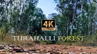 Turahalli Forest | New Year 2020 first Travel Vlog | One day Trip | Karnataka, Bangalore