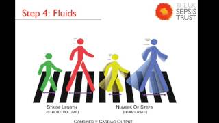 3. The Sepsis Six