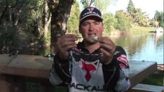 Meet the new Jackall IOBEE frog with Cody Meyer