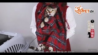 【哈寵PETube】第56集 撿到小貓怎麼辦