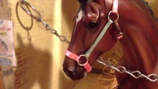 Sad Breyer Movie: Help Me Stop Horse Neglect!