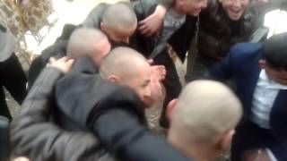 Ozod kallar