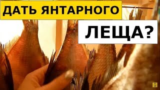 Как Вкусно Засолить Рыбу (Леща) Дома? Обзор "Сушилка Для Рыбы" (Бомбит)