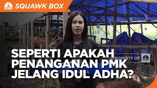 Intip Progres Penanganan PMK Ternak Jelang Idul Adha