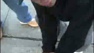 Shark & Jojo Pellegrino out in Morris Park