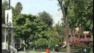 Coyoacán: "En Tierra de Coyotes"