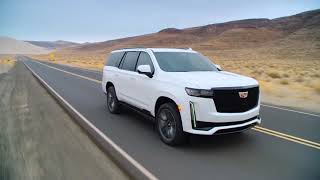 2021 Cadillac Escalade | Taking Bold in a Smarter Direction | Steve Hammes