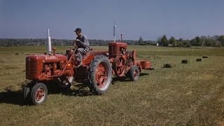 USA КИНО 718. Встречи со странными американцами.Фермер Jerry.