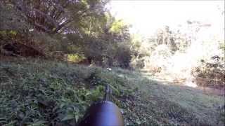 SUMATRA 2500 .25CAL CERDO SALVAJES (HOG HUNTING)
