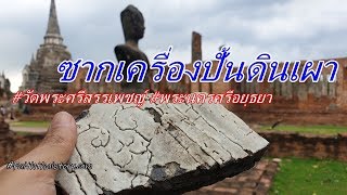 ซากเครื่องปั้นดินเผา ในวัดพระศรีสรรเพชญ์และพระราชวังหลวง อยุธยา