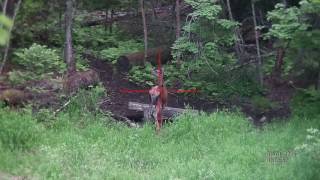 ATN X-SIGHT Hunting Noble Deer Цифровой прицел ATN X-SIGHT ожидание изюбря на солонце