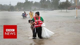 Hurricane Harvey: is the Unprecedented rainfall caused by Climate Change?  - BBC News