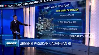 Menakar Urgensi Pasukan Cadangan RI