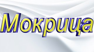#Мокрица