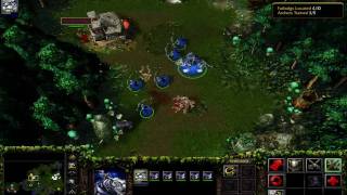 Cave of Wunders:  Warcraft 3 Walkthrough:  Night Elf:  Chapter 1 Part 2