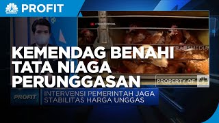 Dorong Daya Saing Ternak Lokal, Kemendag Benahi Tata Niaga Perunggasan
