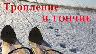 ТРОПЛЕНИЕ И ГОНЧИЕ!!! Охота на зайца 2020. Расшифровк сдвоек и скидок.