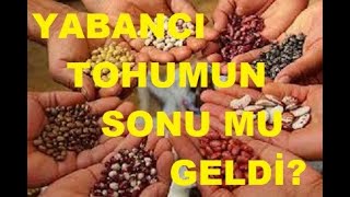 tohum