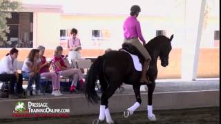 Dressage with USDF Sport Horse Working on Tension Free