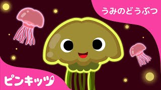 クラゲ | うみのどうぶつ | どうぶつのうた | 楽しく学ぼう！ | ピンキッツ童謡