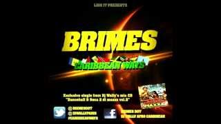 CARIBBEAN WAYS- Brimes- 2013