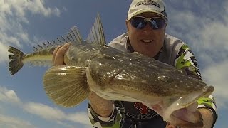 Fishing Hervey Bay During A Change of Season