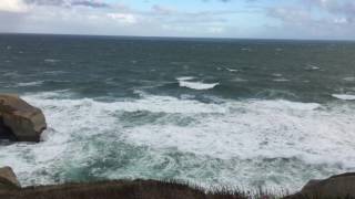 Dunedin Tunnel beach / Данидин пляж Туннель