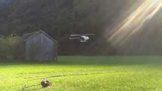 T Rex 450 FBL