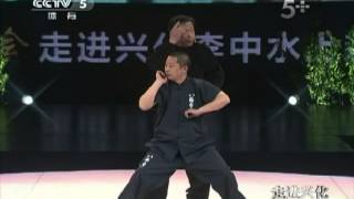 NeiGong du BajiQuan 1 : LiangYi Zhuang (French + English Sub)