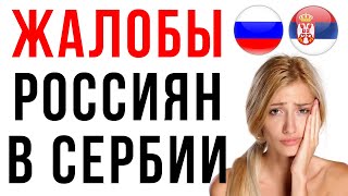 Почему россияне жалуются на жизнь в Сербии? Эмиграция в Сербию из России 2021. Жизнь в Сербии.