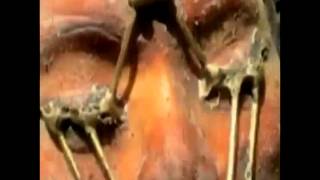 Where is The truth of humanity？ 人類の真実はどこに？ 2012