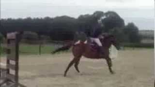 Duke of Hearts xx - Manstein